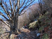 MONTE SUCHELLO (1541 m), fiorito in basso , innevato in alto, da Costa Serina il 19 marzo 2026  - FOTOGALLERY
